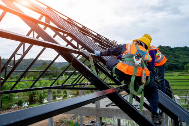 Best Gutter Installation and Roofing  in Madelia, MN