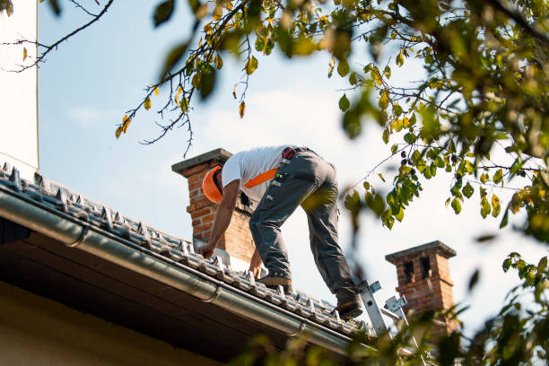 Quick and Trustworthy Emergency Roof Repair Services in Madelia, MN