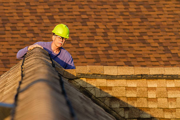 Best Roof Maintenance Services  in Madelia, MN